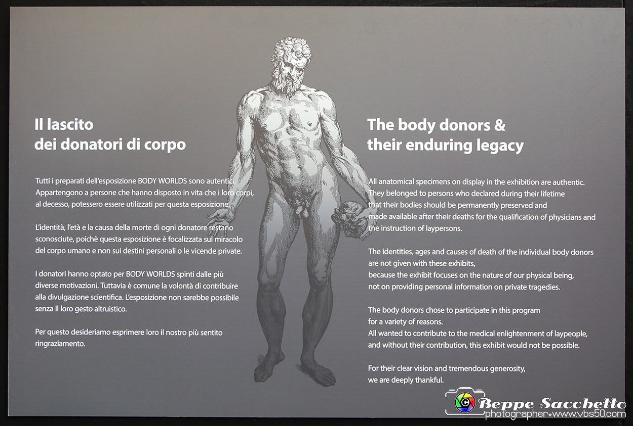 VBS_2536 - Mostra Body Worlds.jpg